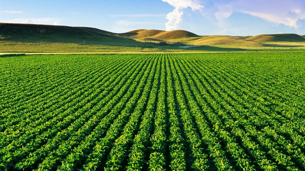 Tarımsal girdi maliyetleri yükselişte