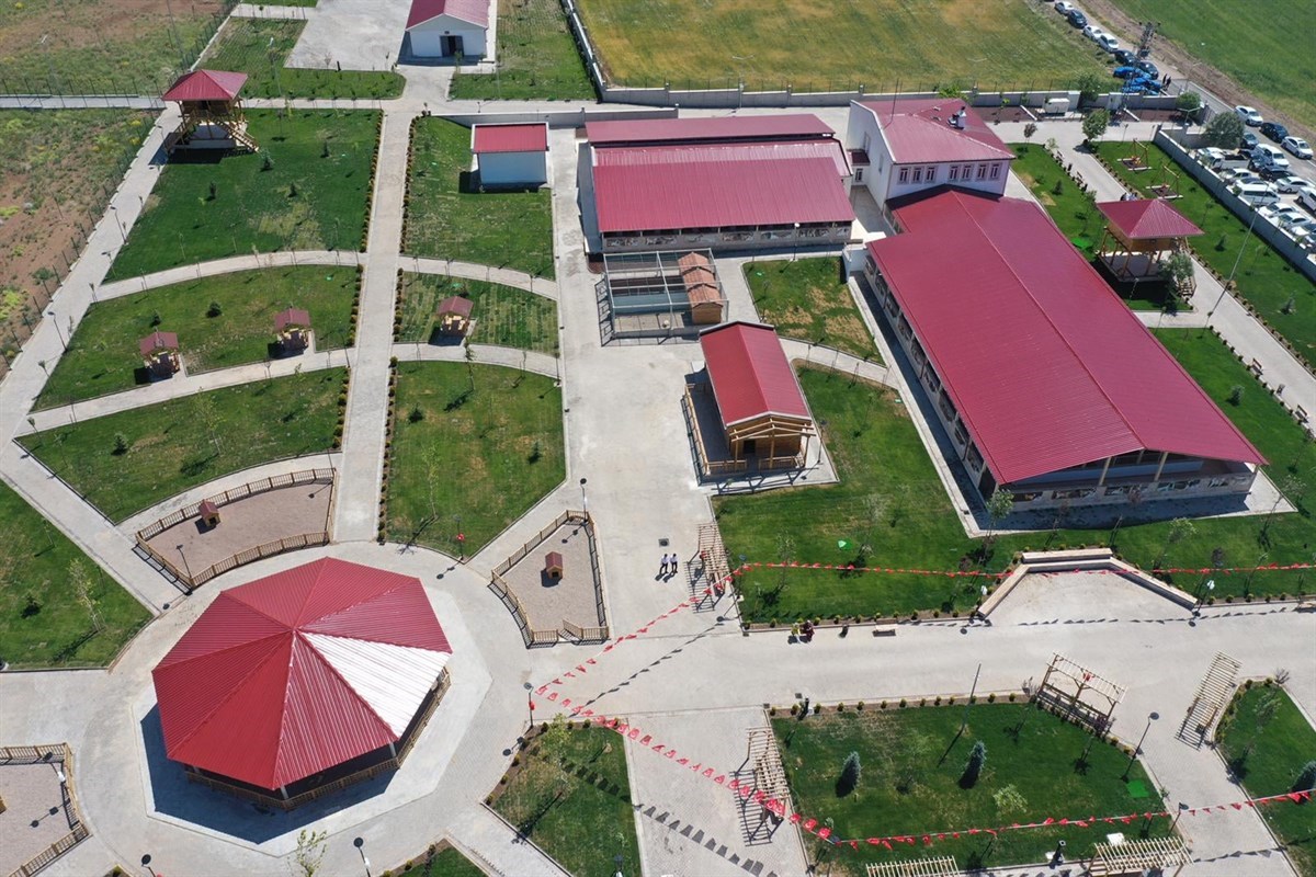 Sivas’ta Sokak Hayvanları İçin Güvenli Adres