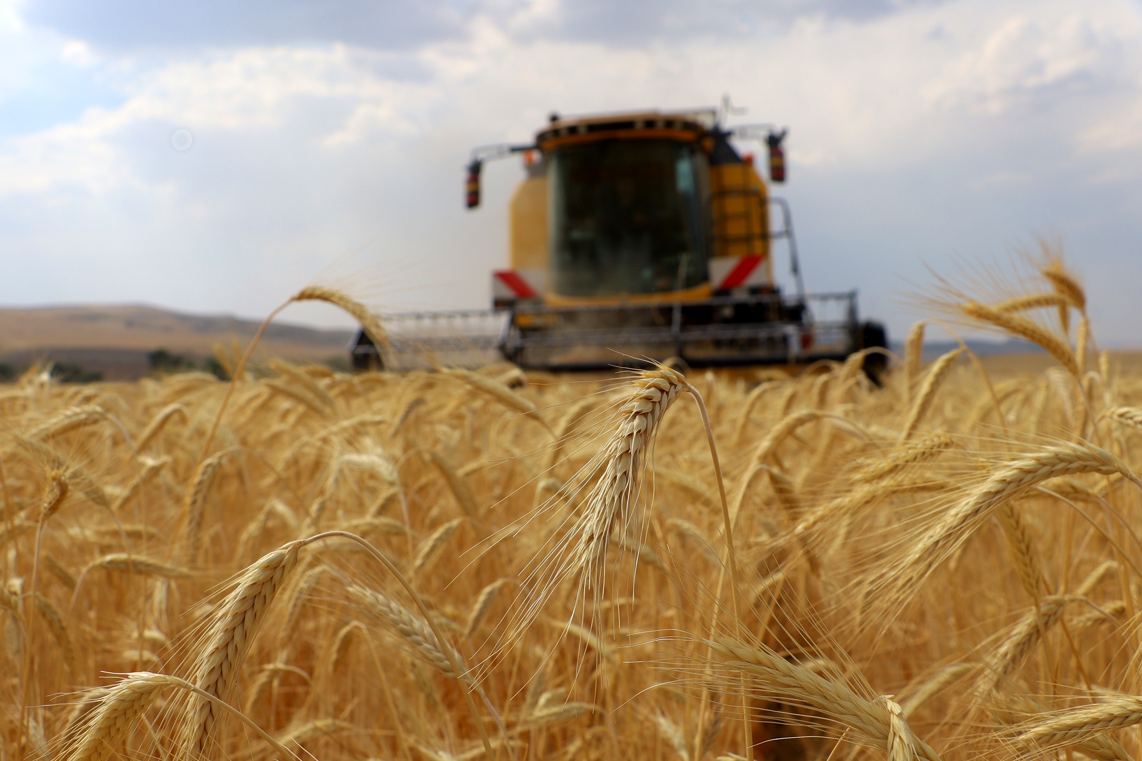 ÇKS başvuruları başlıyor
