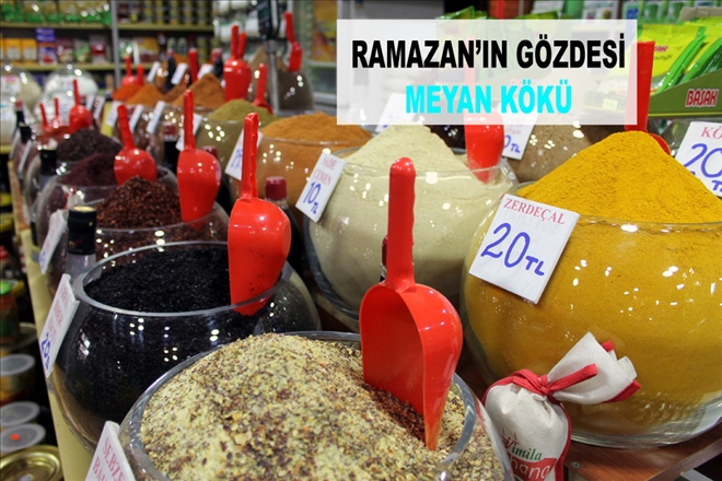 RAMAZAN´IN GÖZDESİ MEYAN KÖKÜ