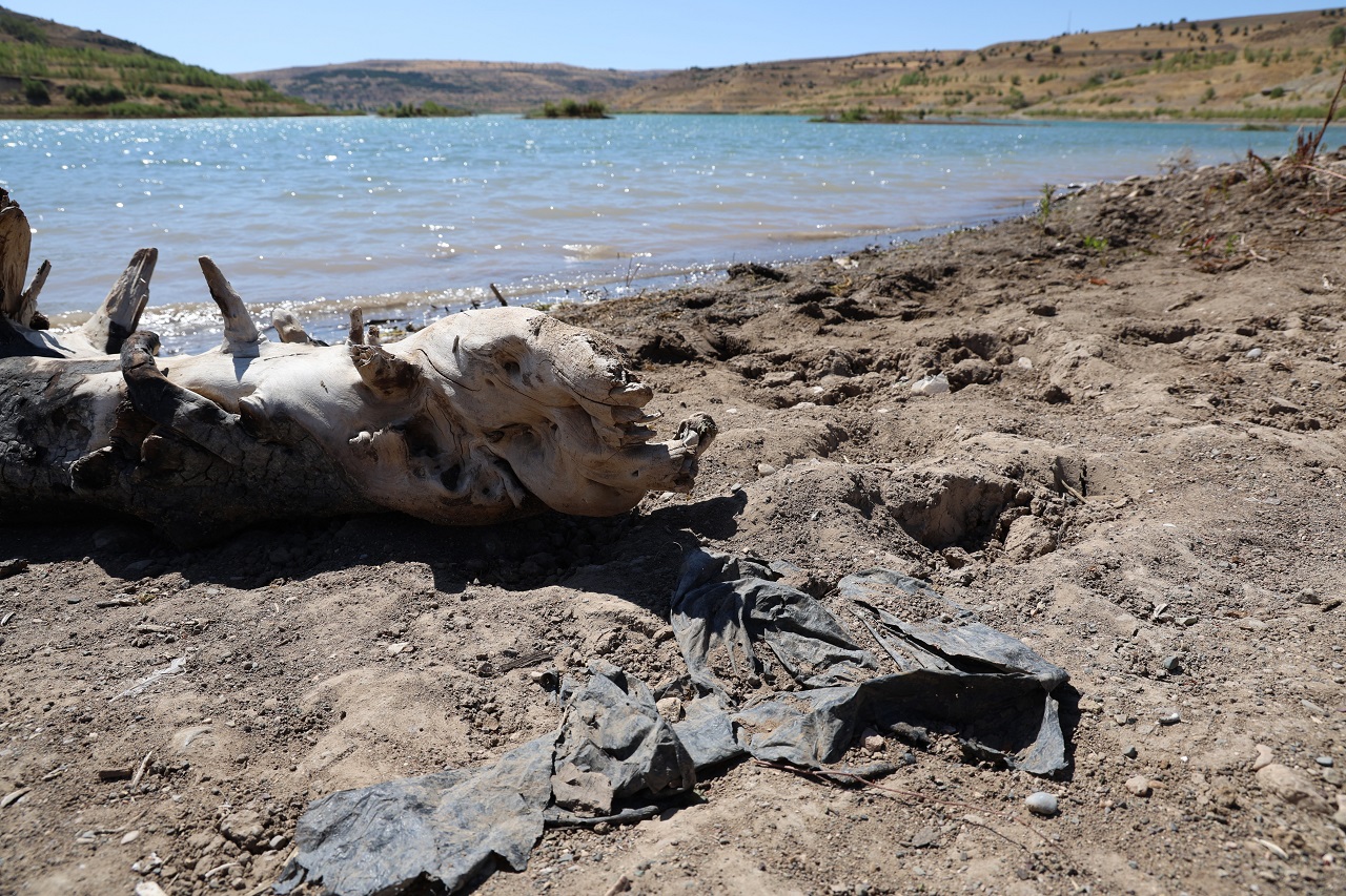 Sivas'ta Şok Görüntü