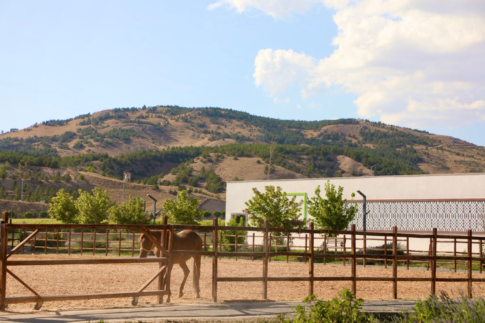 Sivas'ta Yapacak Bir şey Yok Diyen Gençlere Müjde