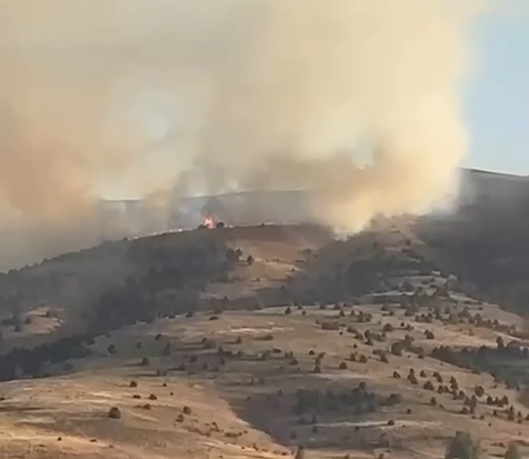 Sivas'ta Anız Yangını Korkuttu