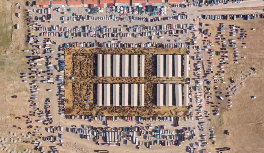 Sivas'ta Hayvan Pazarları Açıldı