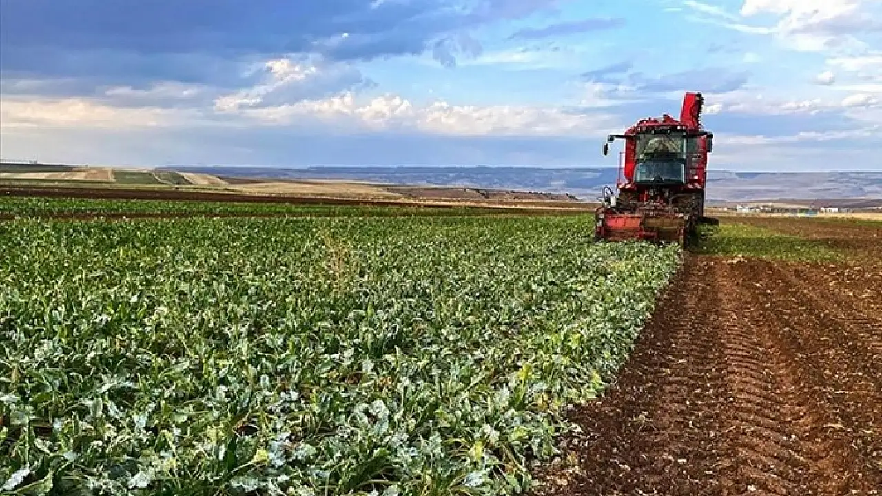 İşlenmeyen araziler kırsal ekonomiye can verecek