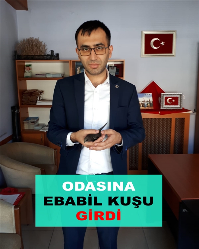 ODASINA EBABİL KUŞU GİRDİ