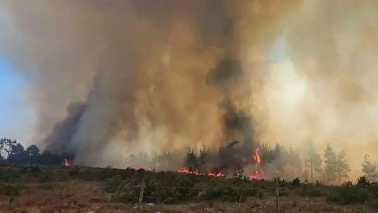 Yangınlar Türkiye’de Karbon Salınımını Artırdı