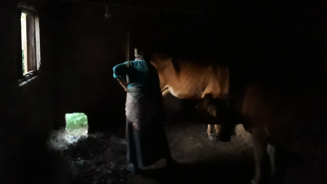 Karadeniz kadınının bitmeyen çilesi