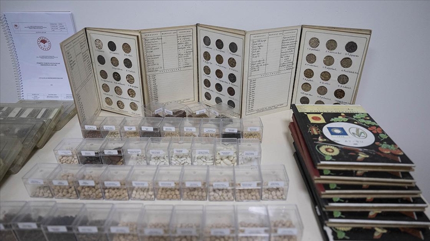 Toplam 122 bin 750 tohum örneği gen bankalarında korunuyor