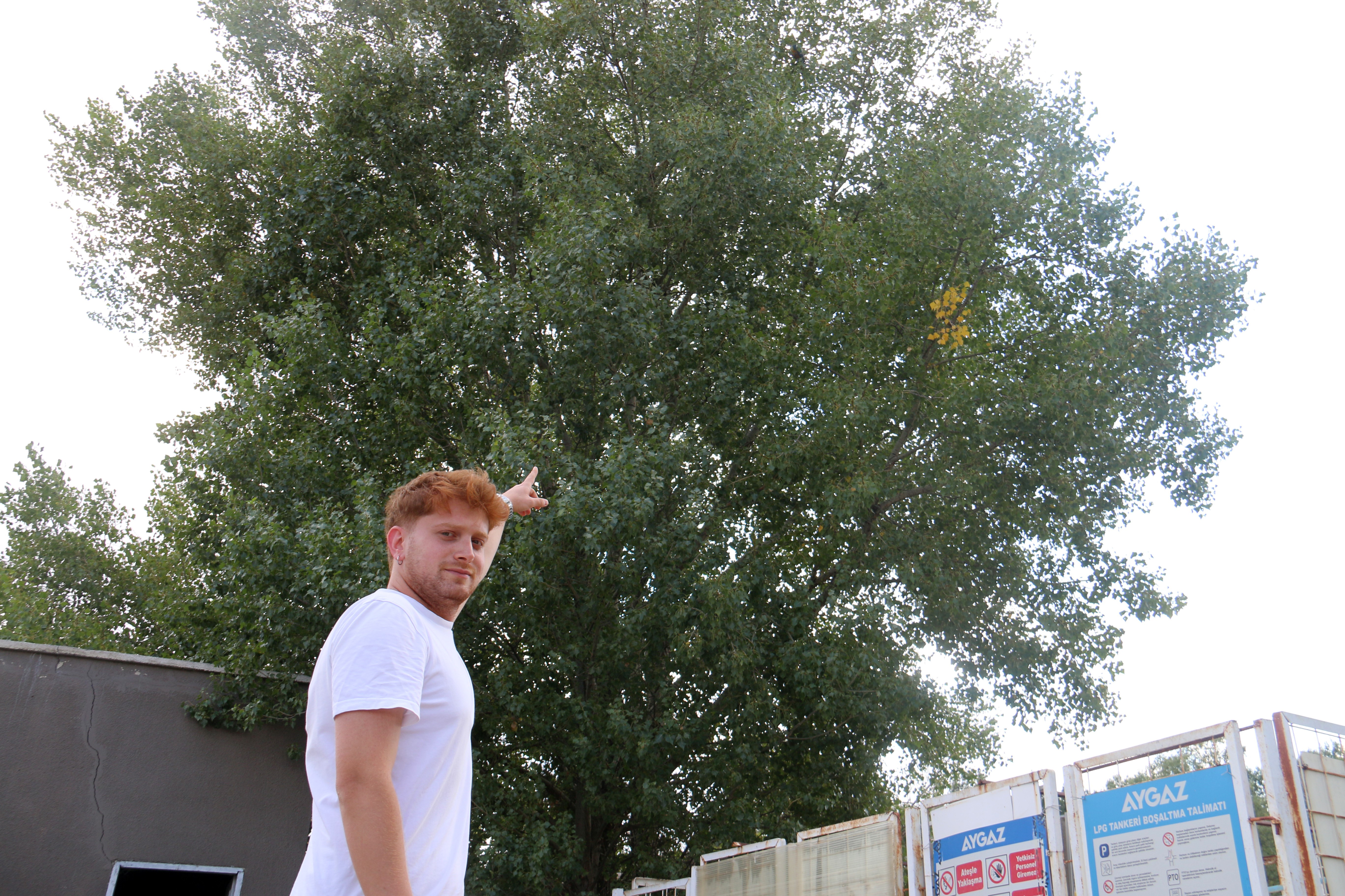 Okumadan Geçmeyin! Türkçe Bilmeyen Kuşu Yakalama Operasyonu