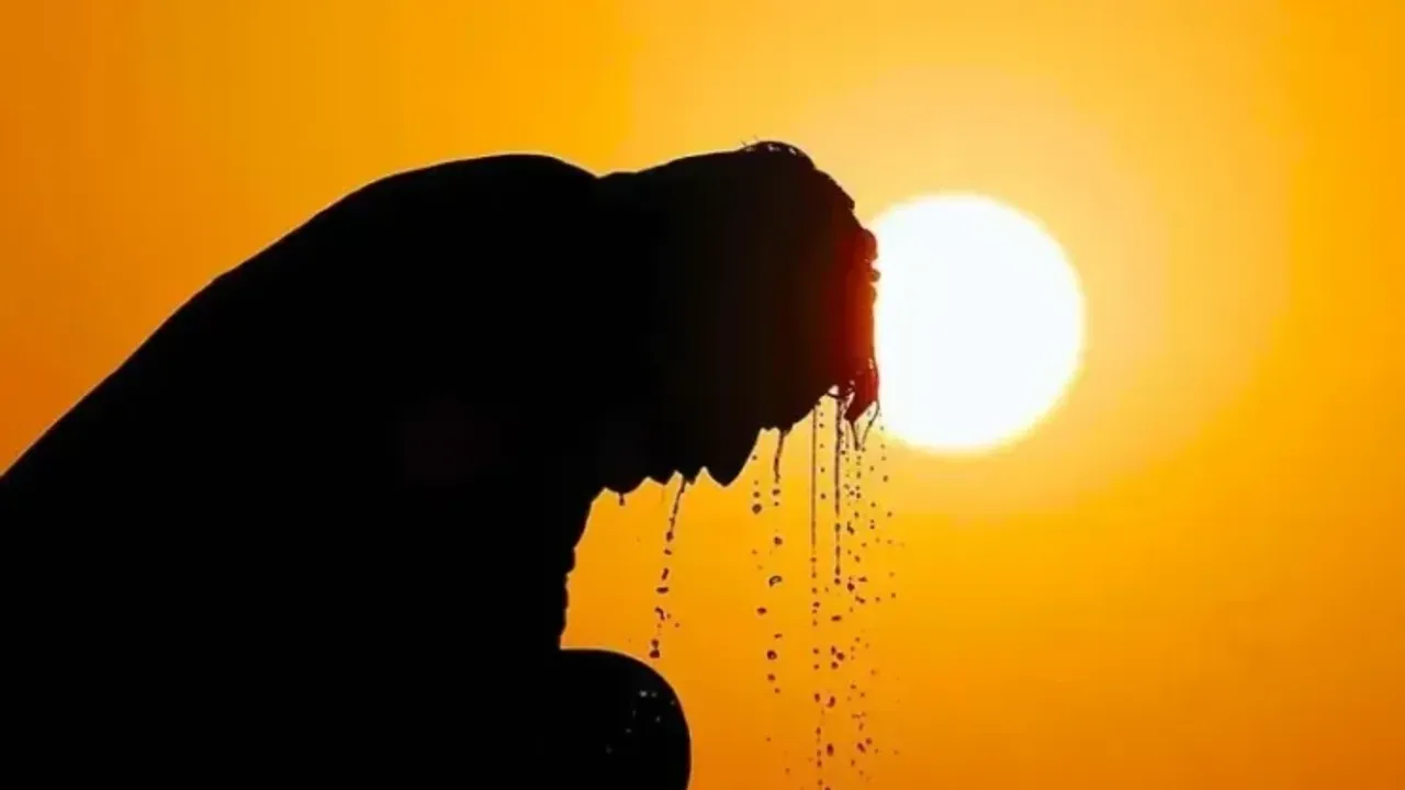 Sivas Son 55 Yılın En Sıcak Yazını Yaşadı