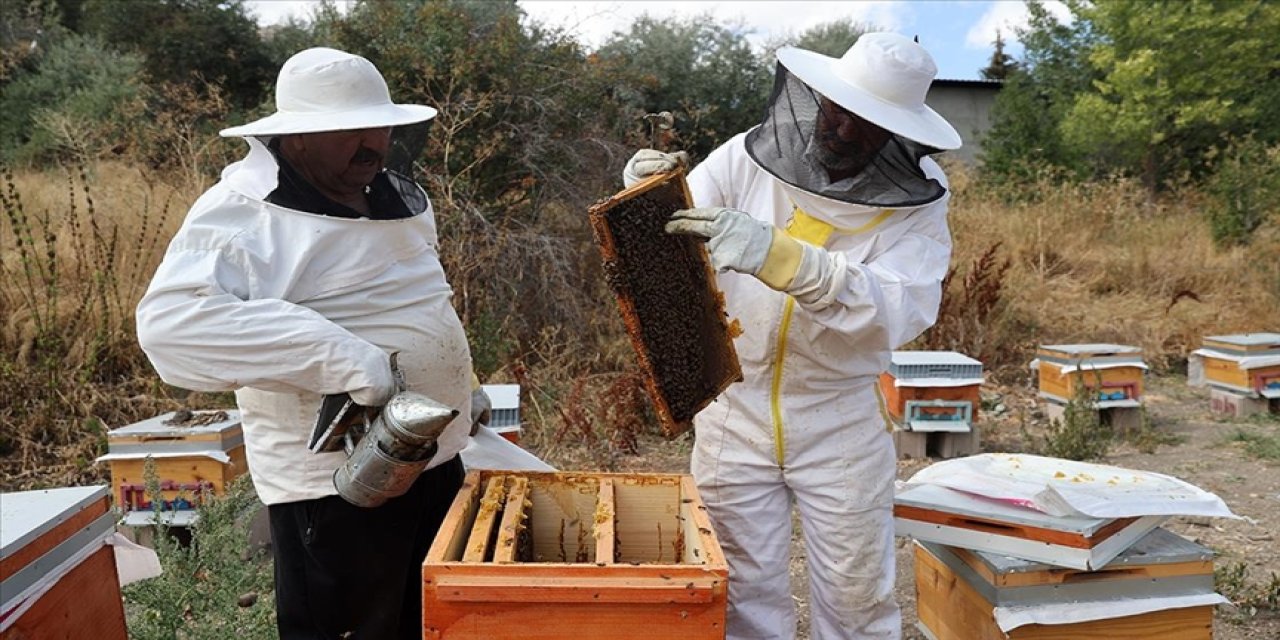 Sivas'ta 5 arkadaşın bal yolculuğu