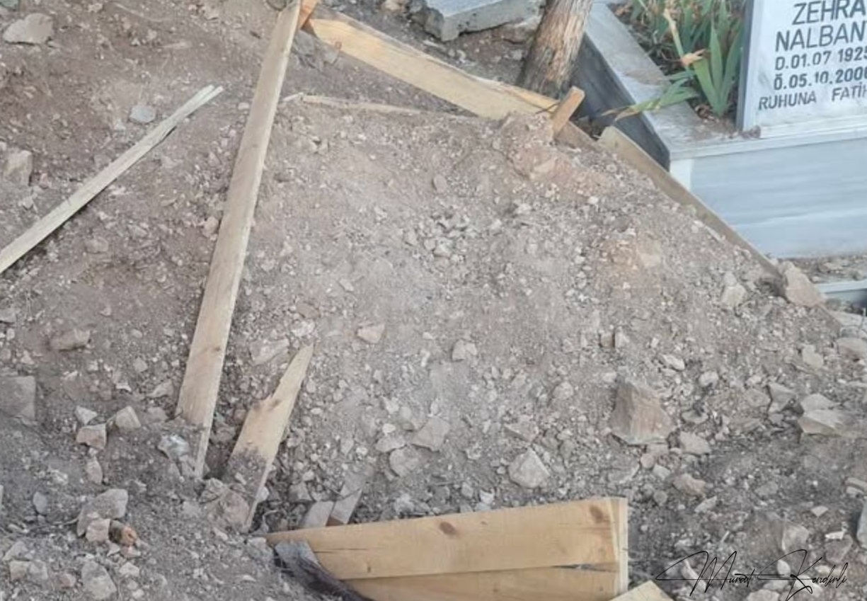 Sivas'ta Aç Ayı Mezarları Tahrip Etti