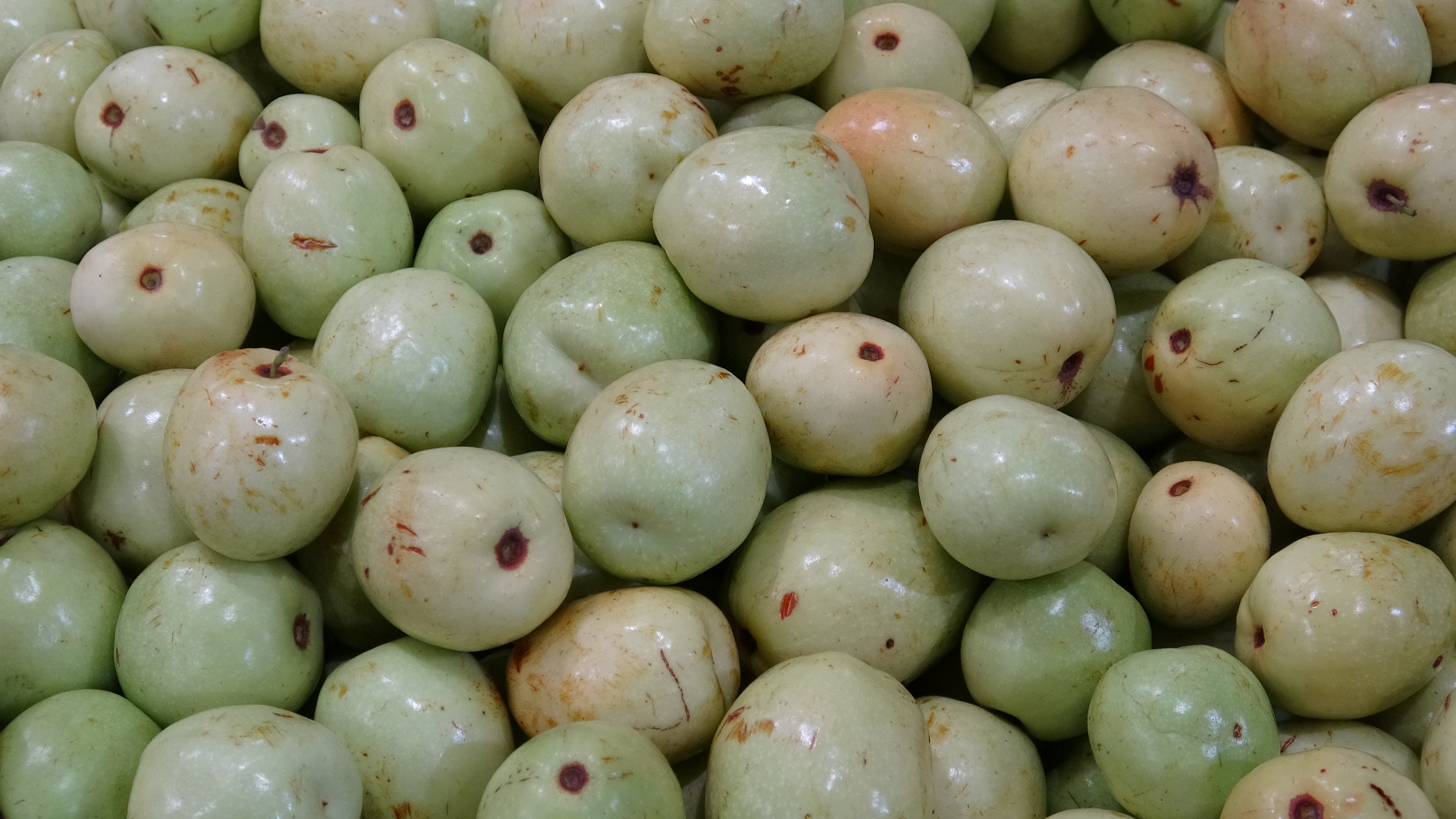 Mucize Meyve! Ölüm Hariç Her Derde Deva