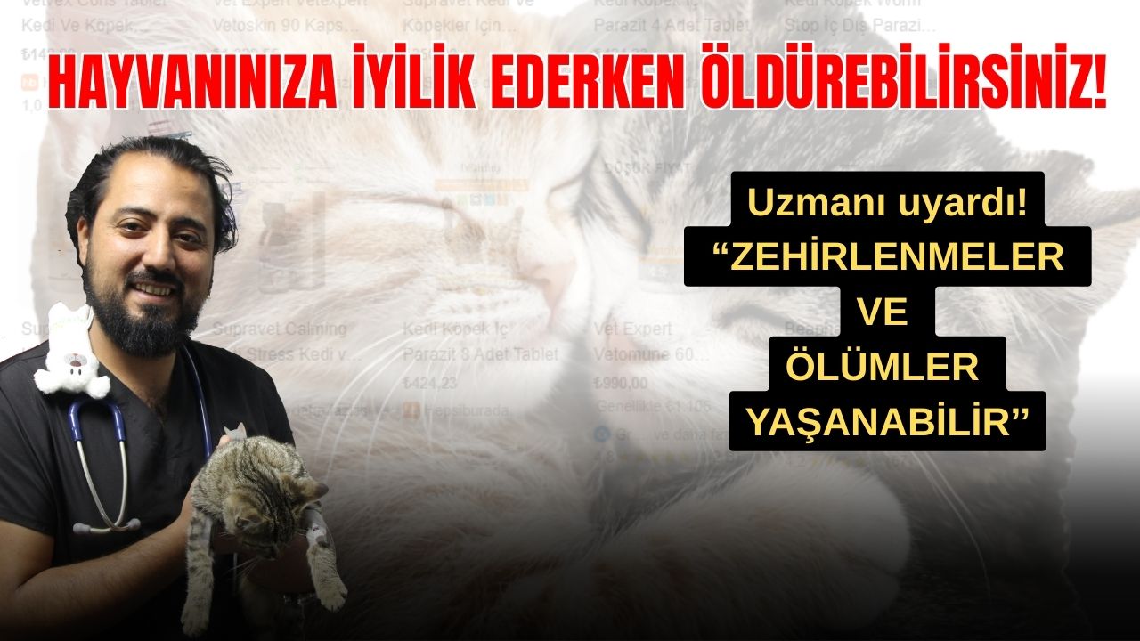 Uzmanından Uyarı! Hayvanınıza İyilik Ederken Öldürebilirsiniz!