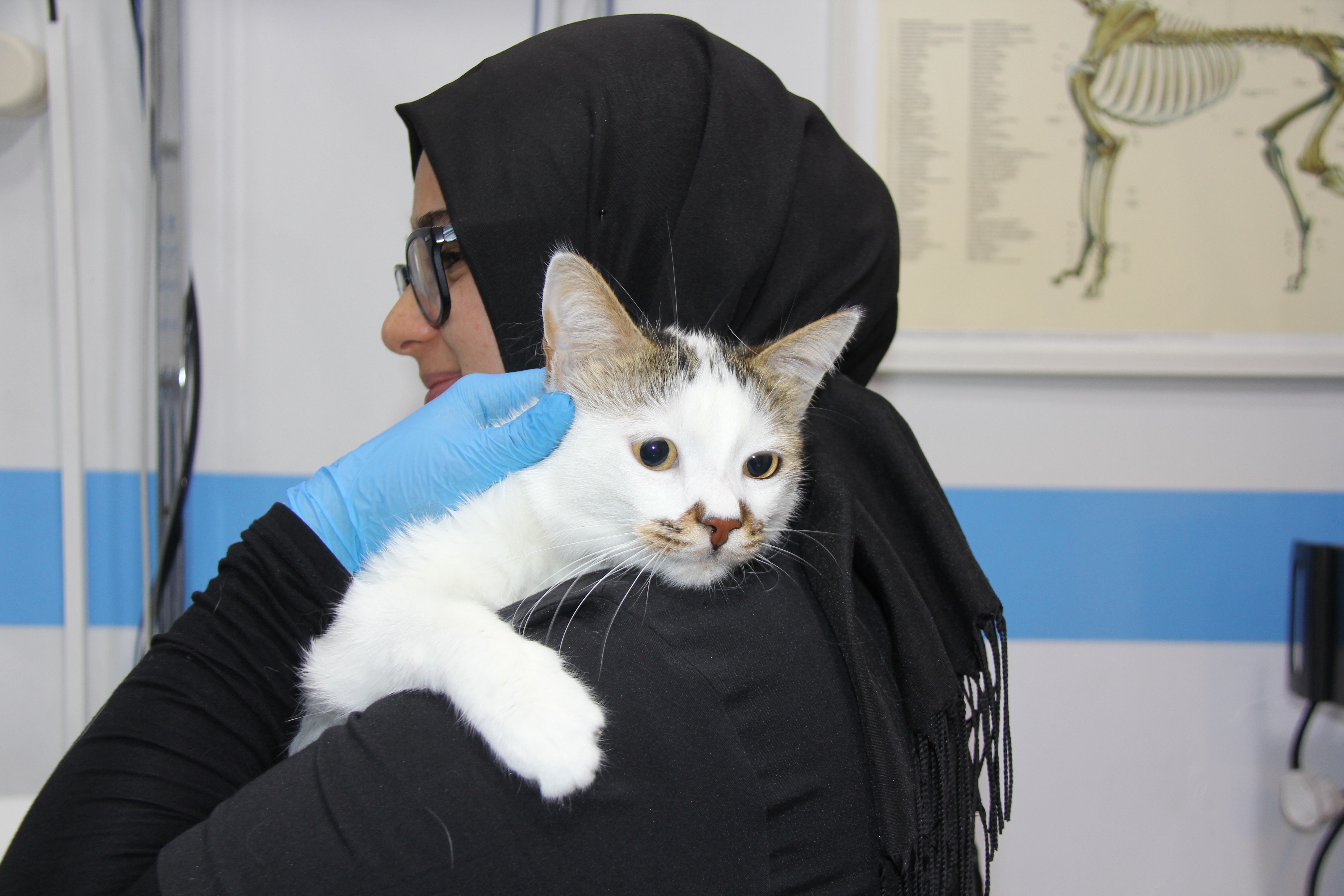 Şehir Değişikliğini Kaldıramadı, Antidepresanla İyileşti