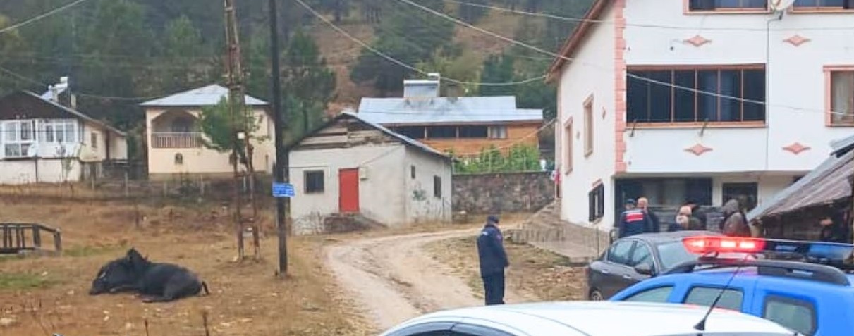 Sivas'ta Elektrik Faciası: Öldüler