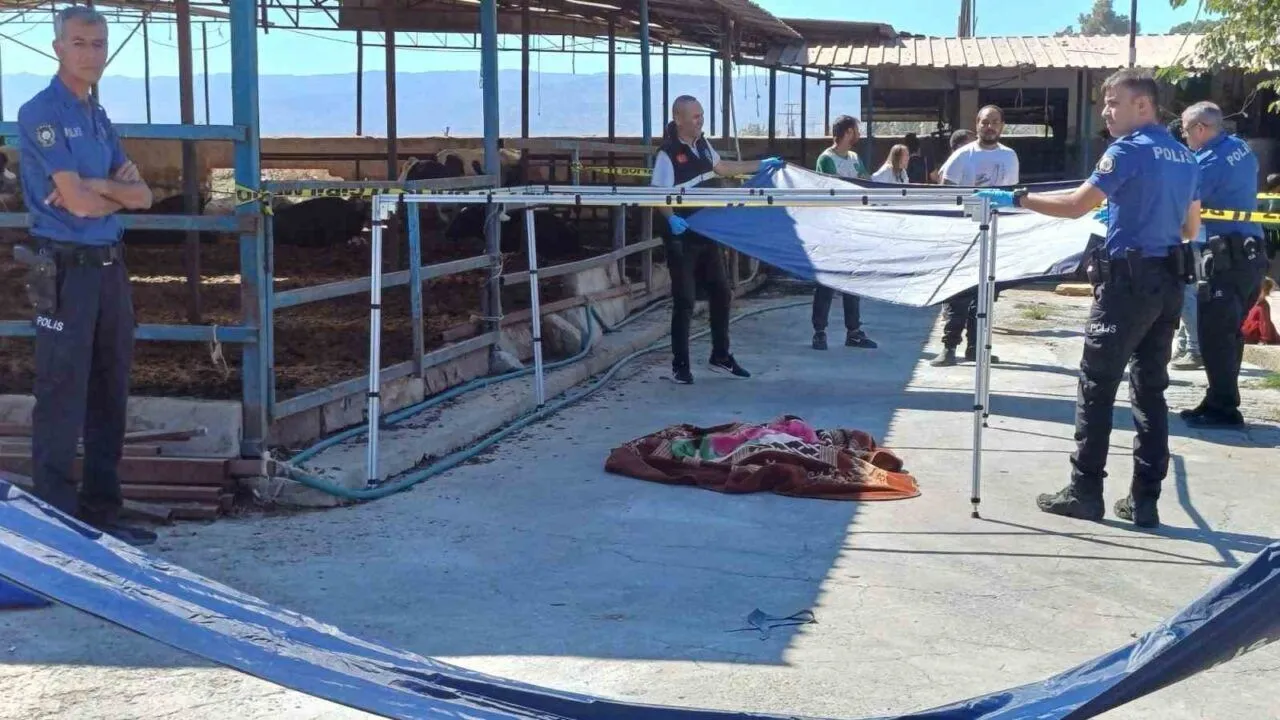 Kamyonun altında kalan 3 yaşındaki çocuk öldü