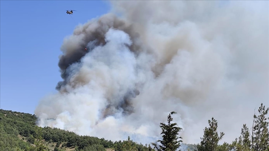 Balıkesir'de orman yangını