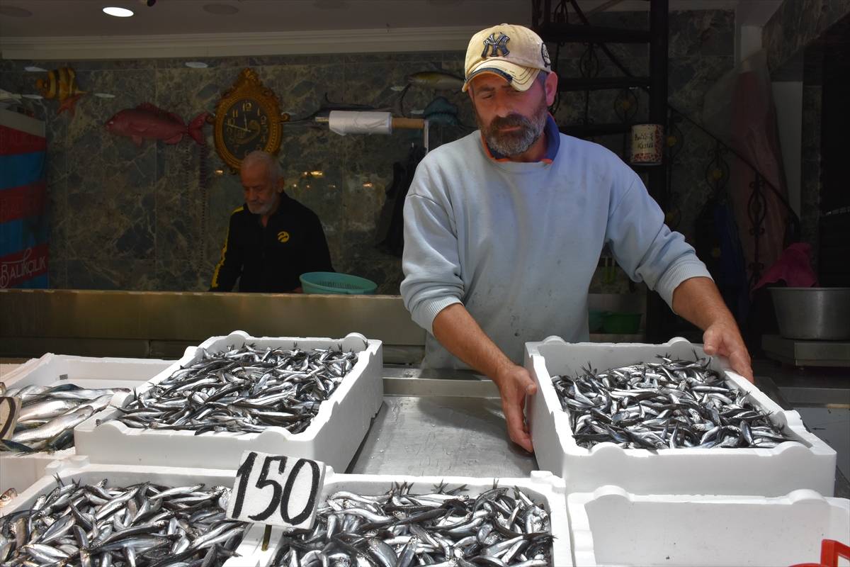 Hamsi ve istavrit 150 liradan satışa sunuluyor