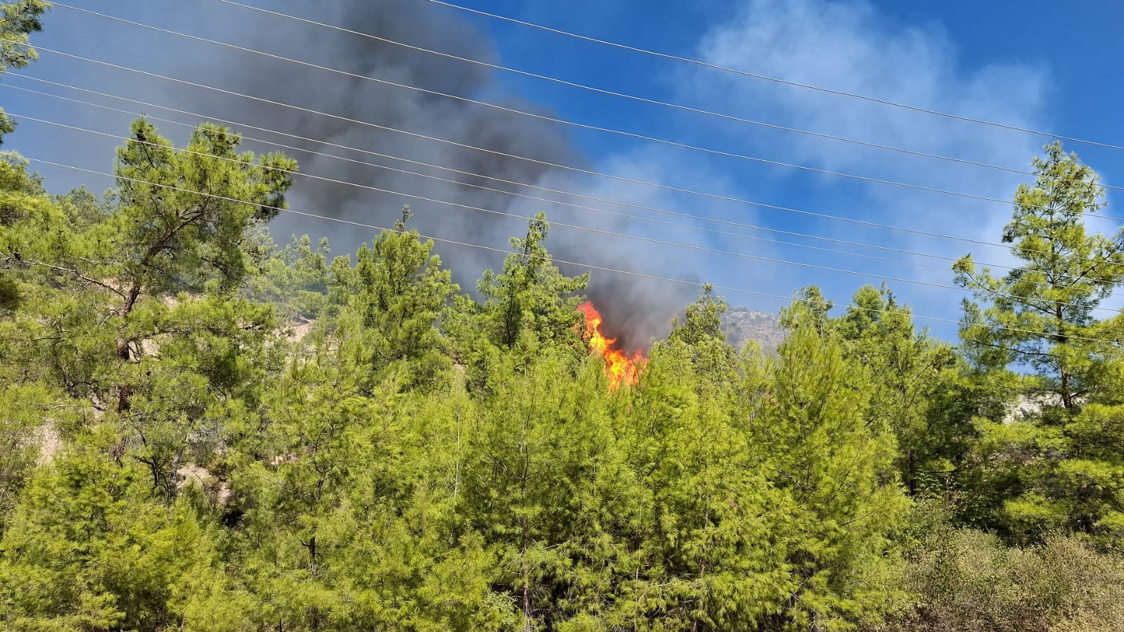 Serik'te orman yangını