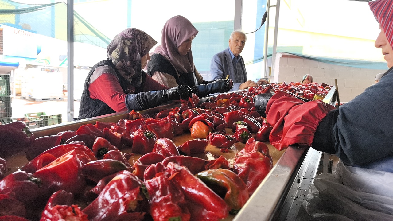 Kadınlar Üretti, Hollanda'ya ihraç edilecek