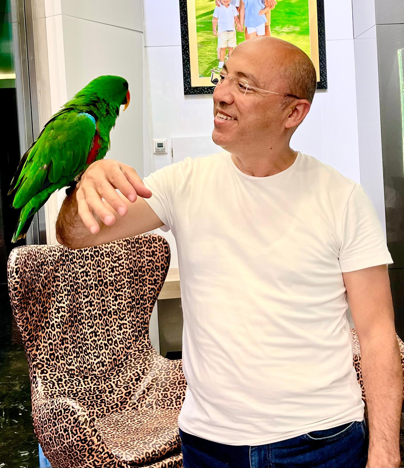 Papağanlarla fotoğraf yasağının maliyeti 3 ile 6 milyon avro arasında