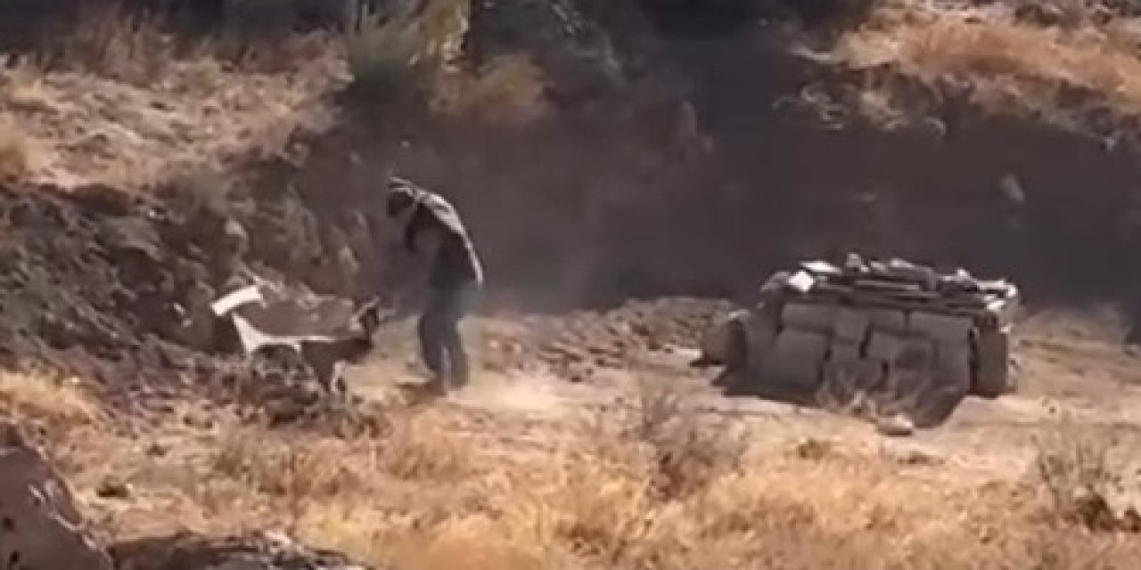 Sivas'taki köpeğe şiddet cezasız kalmadı, gözaltında