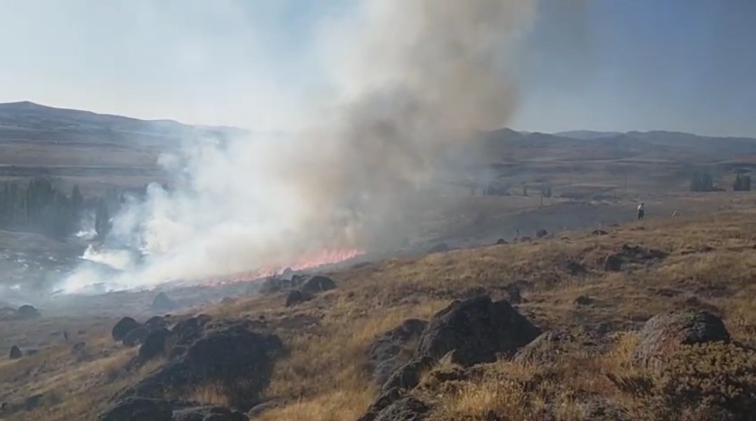 Sivas'ta örtü yangını
