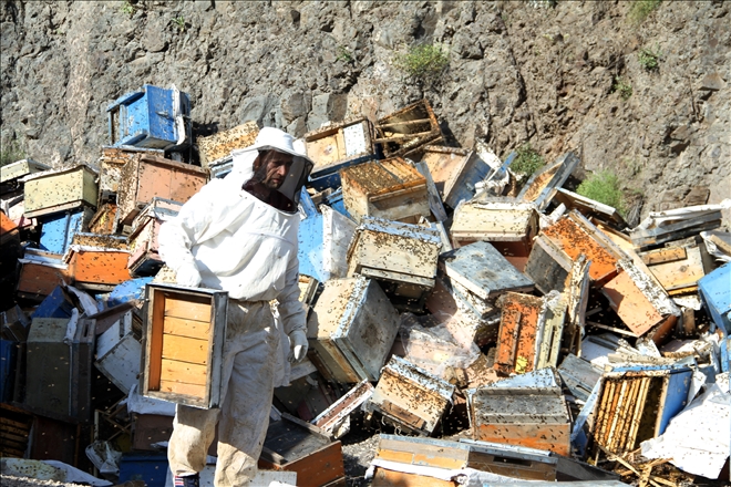 DEVRİLEN KAMYONDAKİ ARI KOVANLARI KARAYOLUNA SAÇILDI