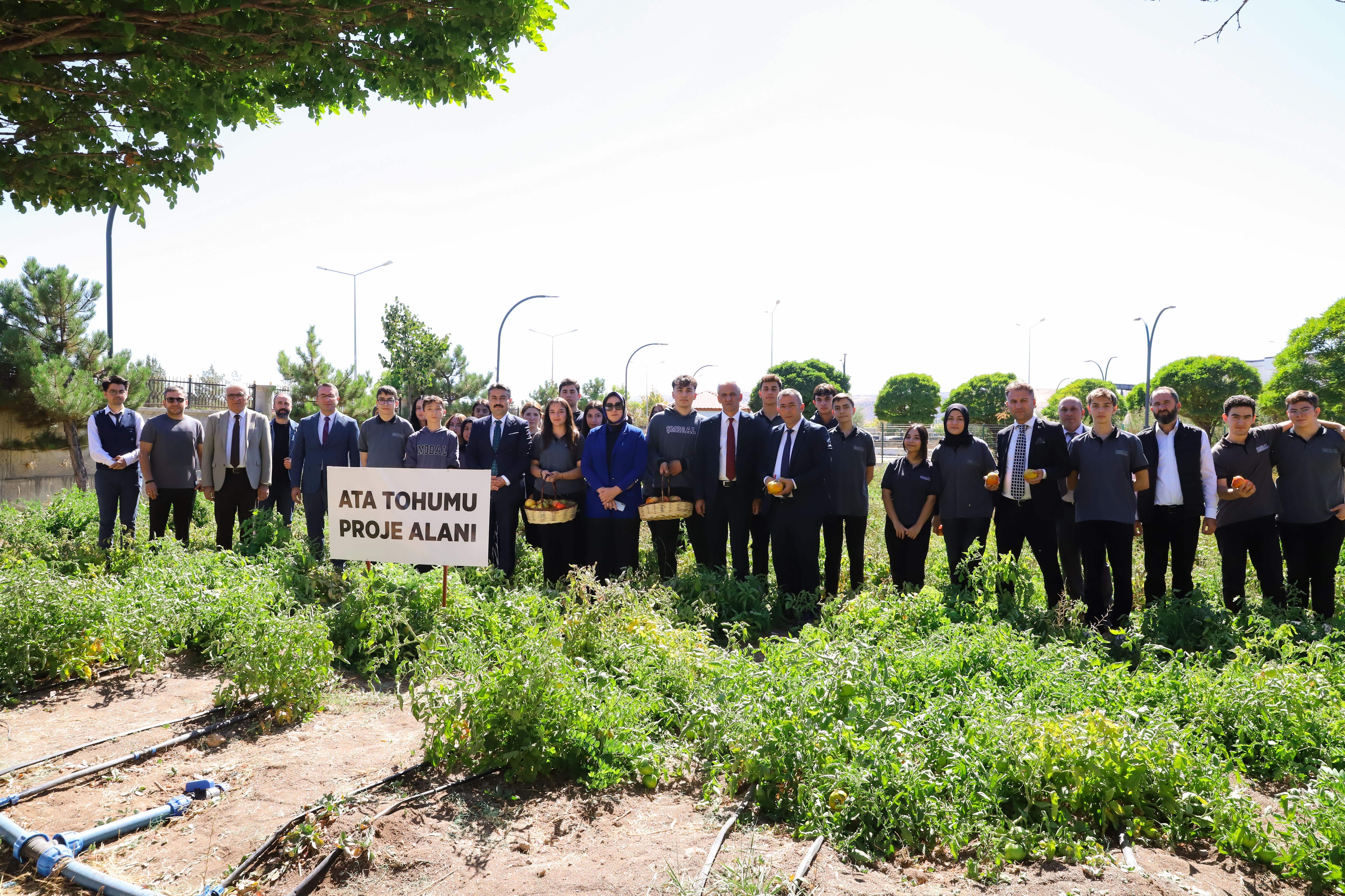 Sivas’ta Öğrenciler, Ata Tohumuyla Domates Üretti