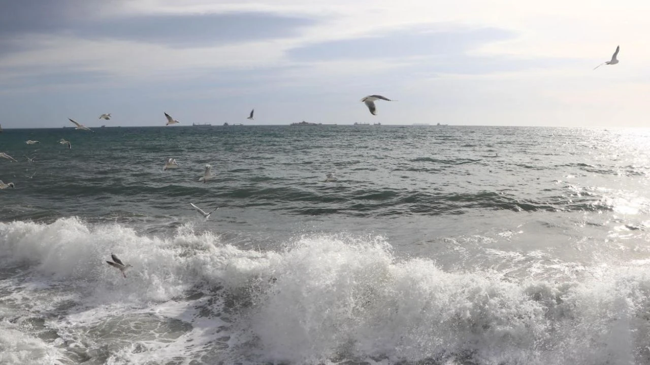 1,6 milyon kişi iklim riski altında