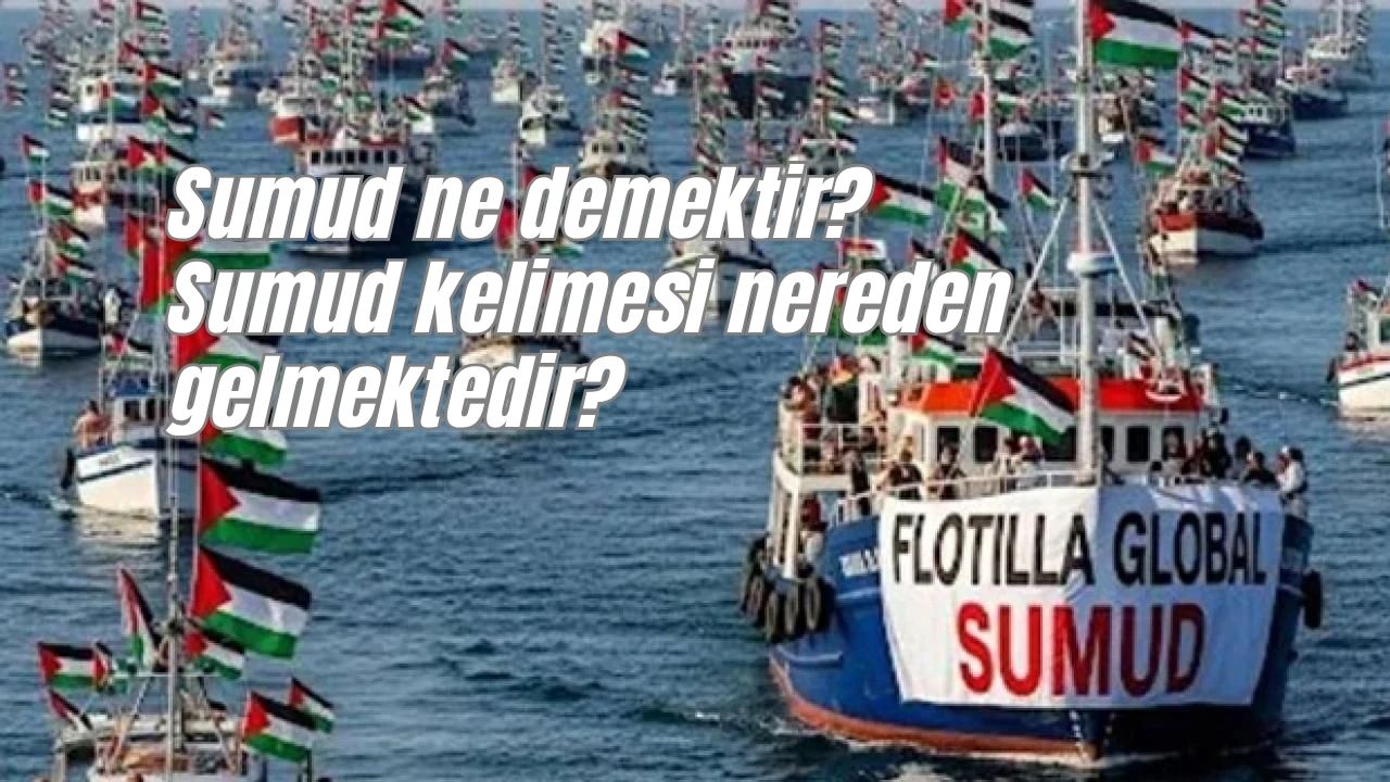 Sumud ne demektir? Sumud kelimesi nereden gelmektedir?