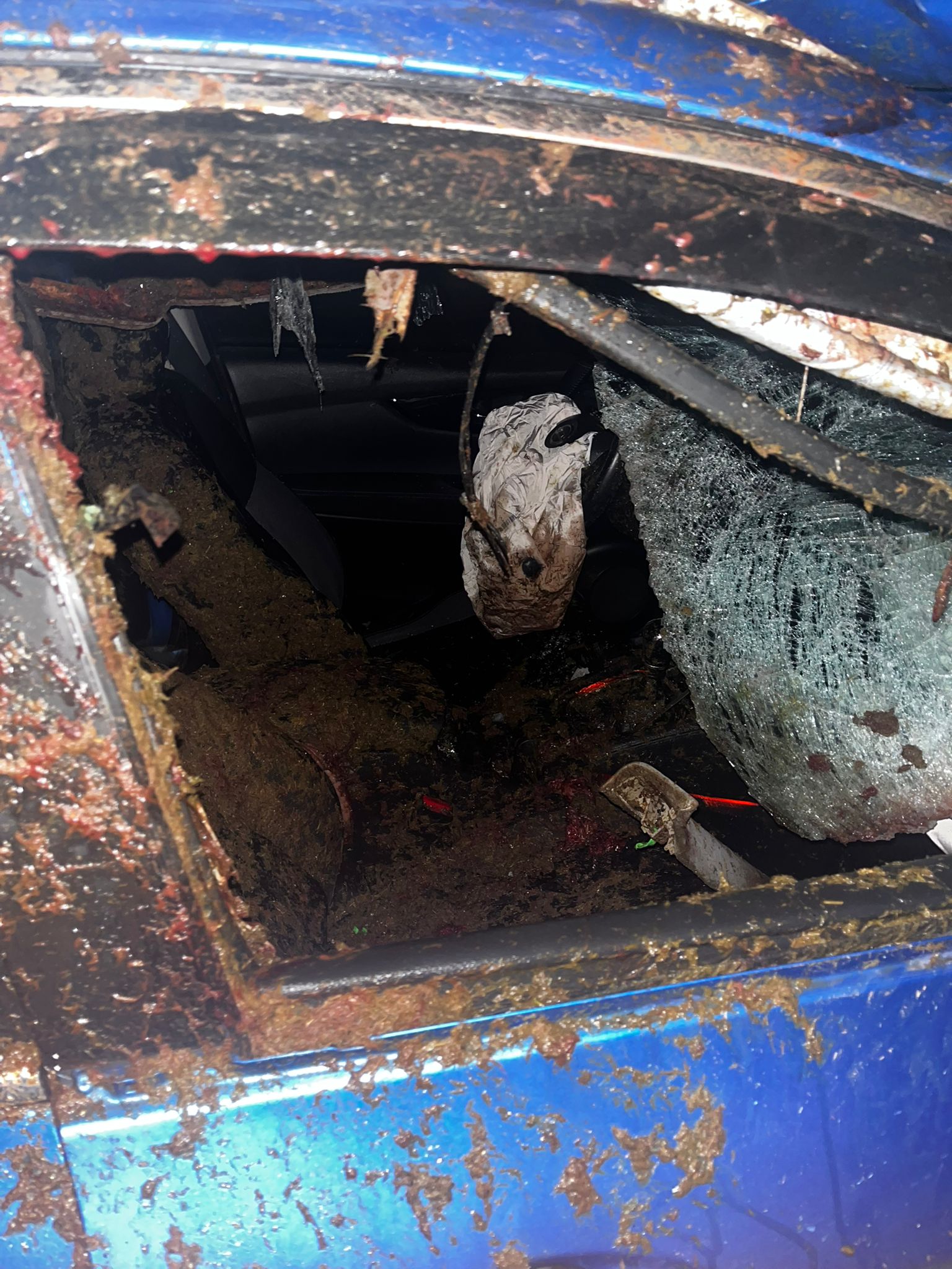 Sivas’ta Gece Yarısı TIR Dehşeti: Üç At Telef Oldu