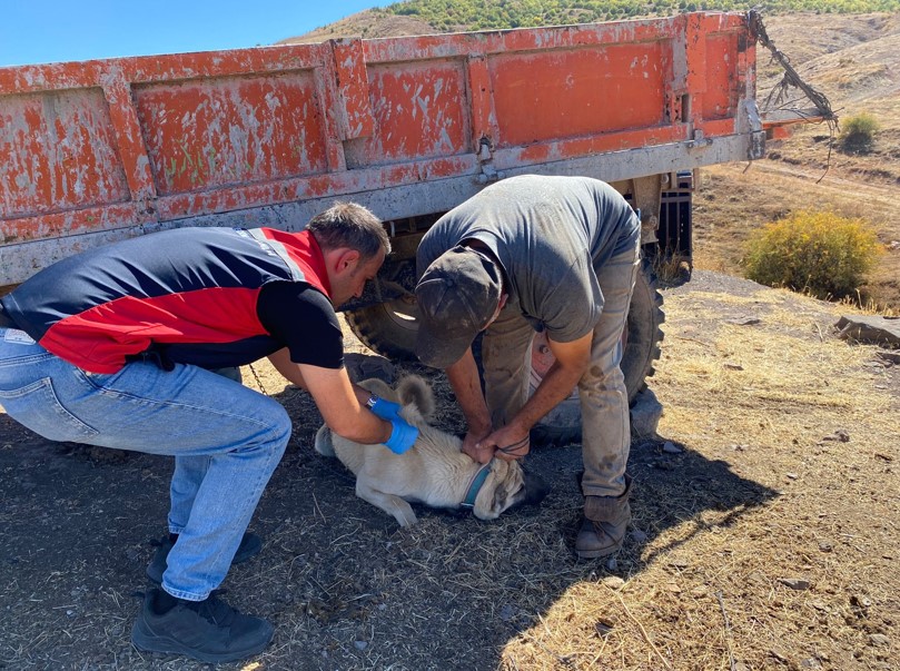 Sivas’ta Bunu Yapana 86 Bin TL Ceza