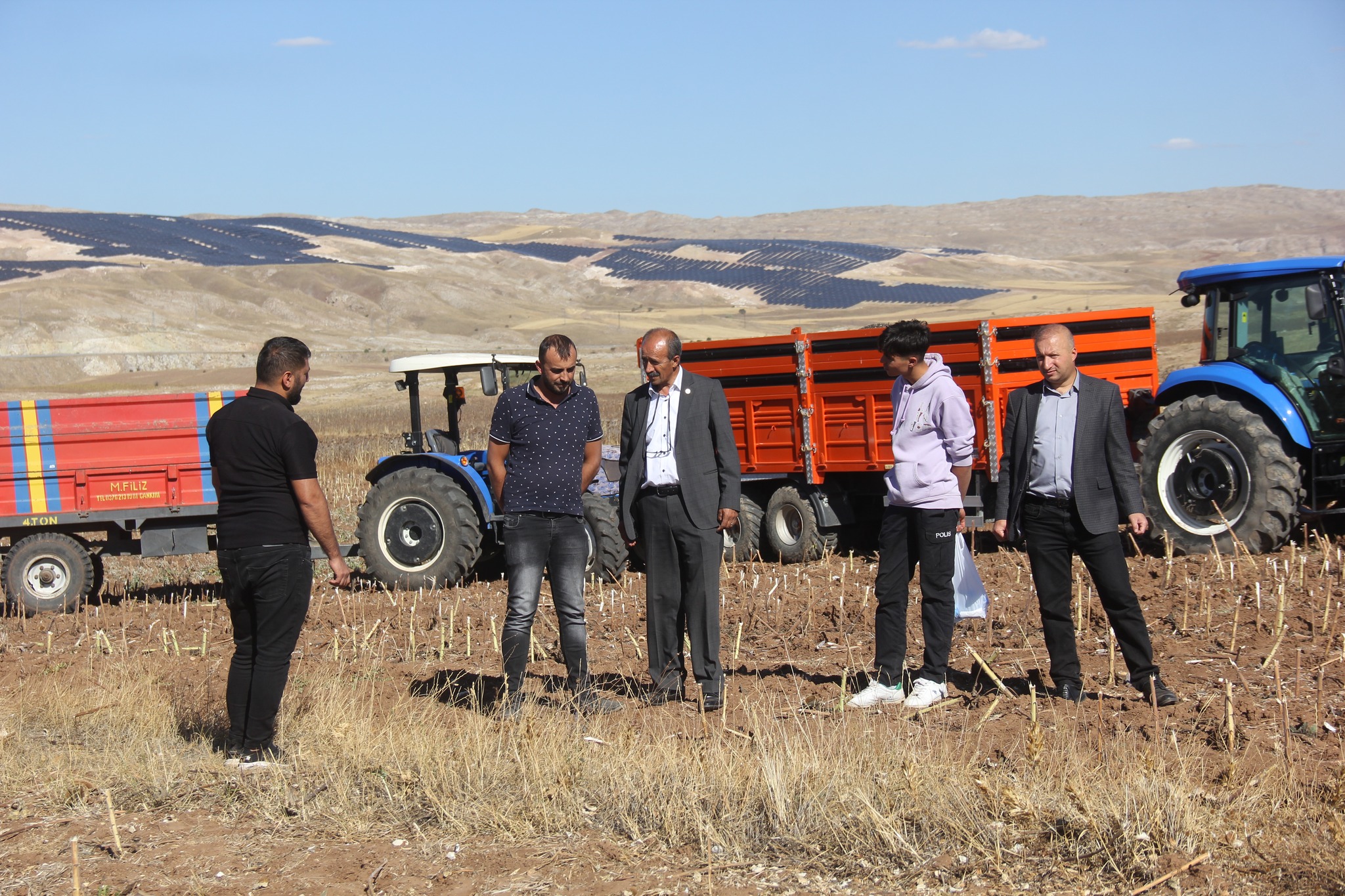 Sivas'ta Ayçiçeği Alım Krizi: Başkan Şimşek Çözümü Açıkladı!