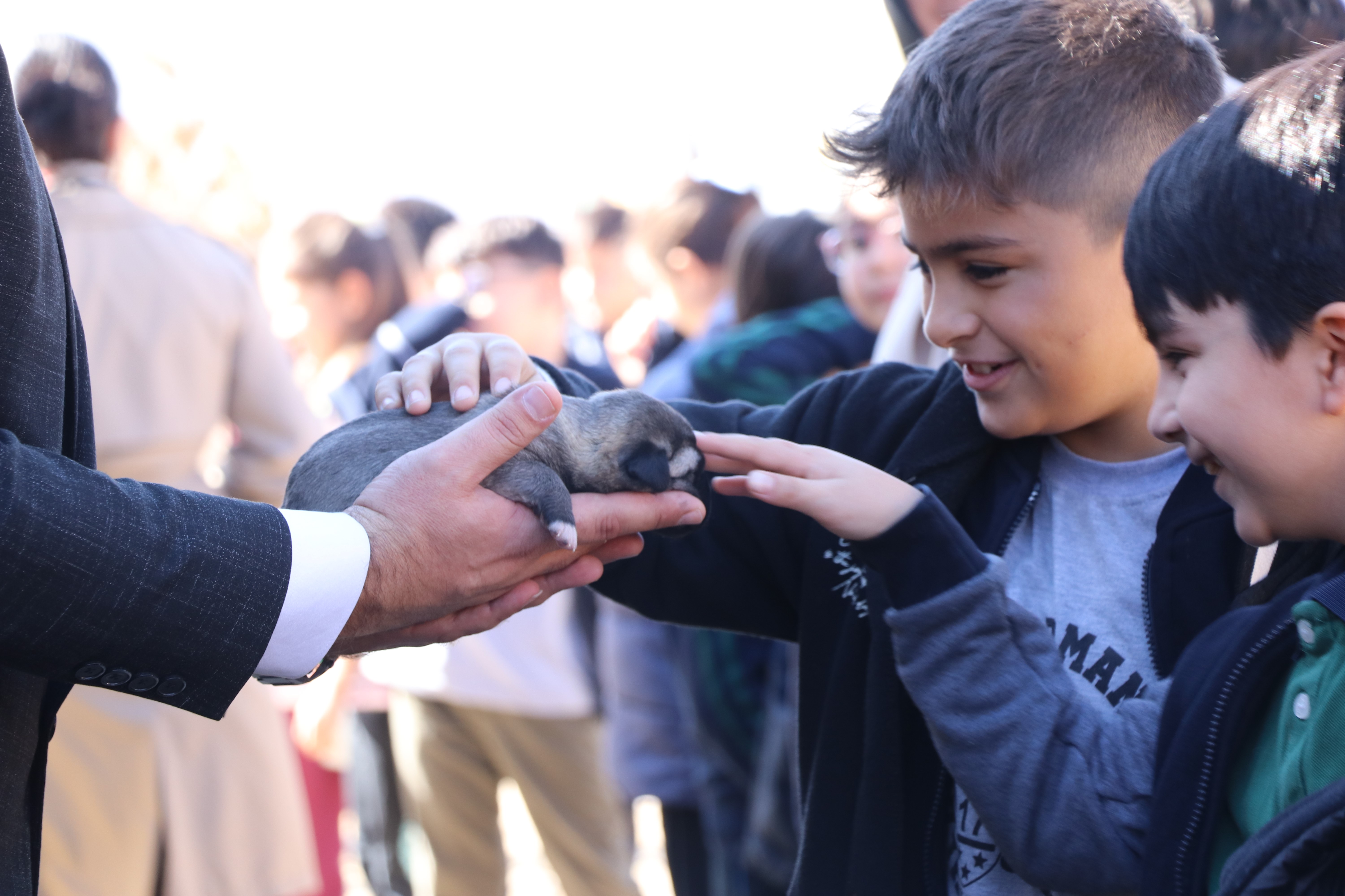 Sivas'ta Kangal Sevgisi İlkokula Uzandı