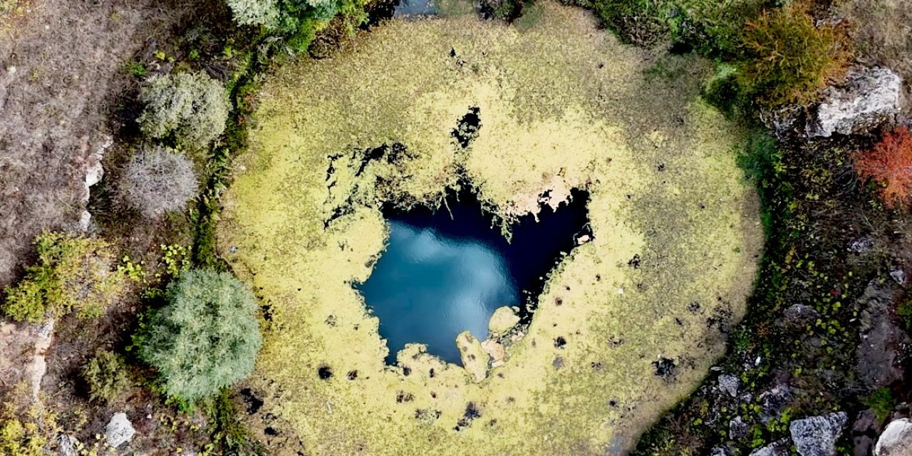 Sivas'ın "timsah" gözü büyülüyor