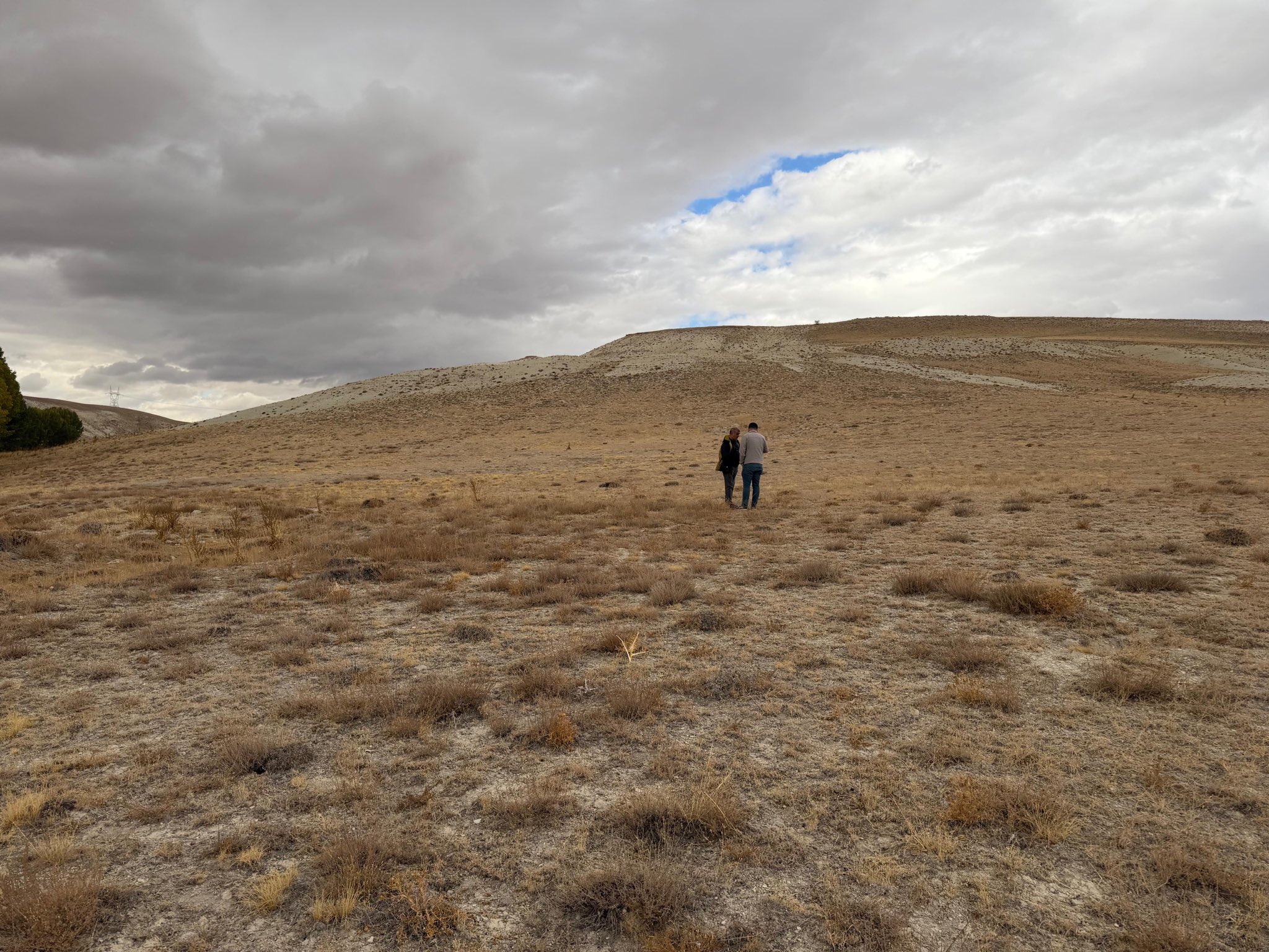 Sivas Tarımında Yeni Adım: Tuz Çalısıyla Verimsiz Alanlar Yeşerecek