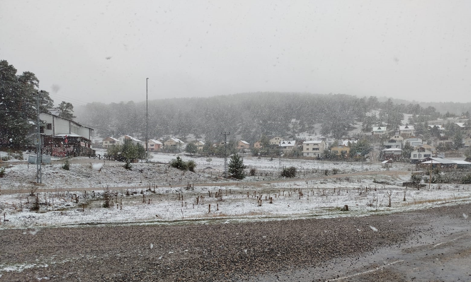 Sivas'ta çam ağaçlarıyla kaplı Eğriçimen Yaylası'na kar yağdı