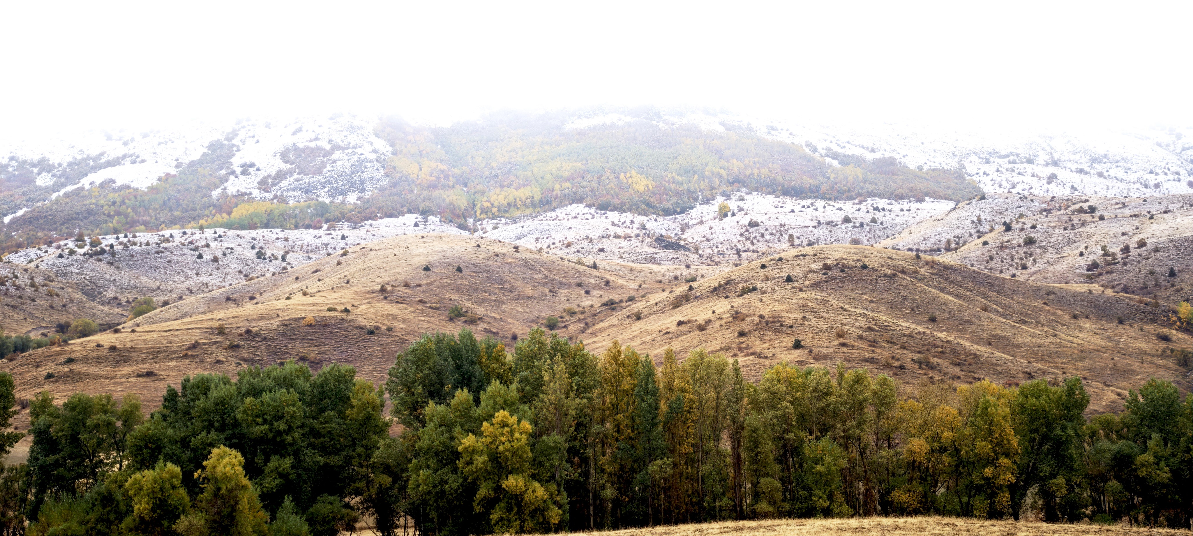 Sivas hazan ile kışı aynı anda yaşadı