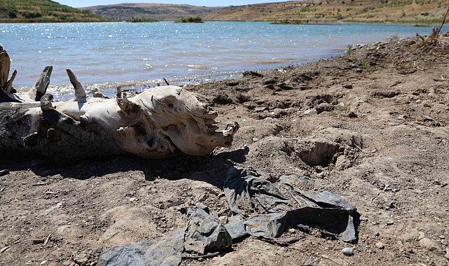 Sivas’ta Su Kıtlığı Kapıda: Yağışlar Son 50 Yılın En Düşüğü