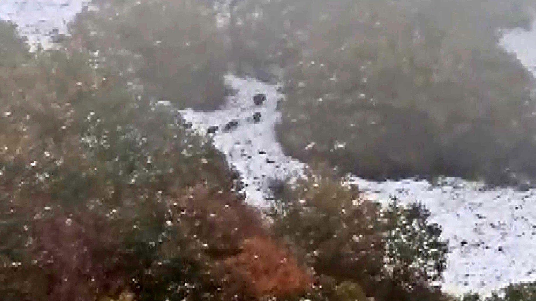 Sivas Çeltek’te Beklenmedik Misafirler