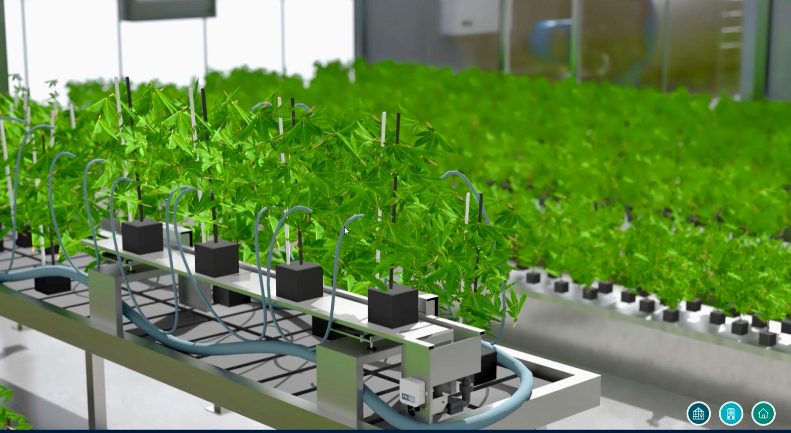 Türkiye’de Bir İlk: Sivas'ta Yapay Zekalı Sera