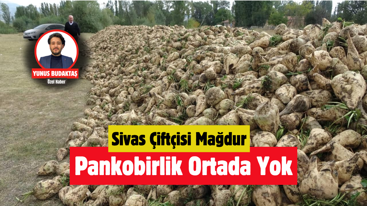 Sivas Çiftçisi Mağdur Pankobirlik Ortada Yok