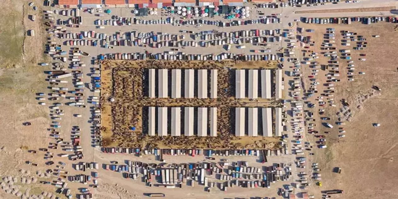 Sivas'taki hayvan pazarını açılacak mı?