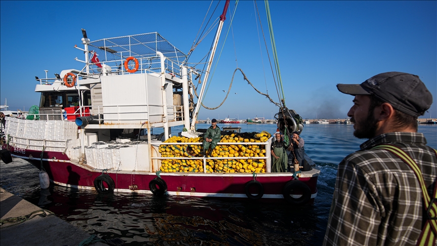 Egeli balıkçılar tayfa bulmakta zorlanıyor