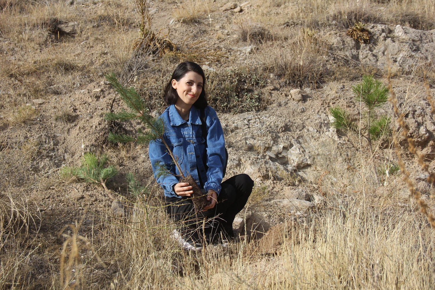 Sivas'ta 30 Bin Fidan Toprakla Buluştu