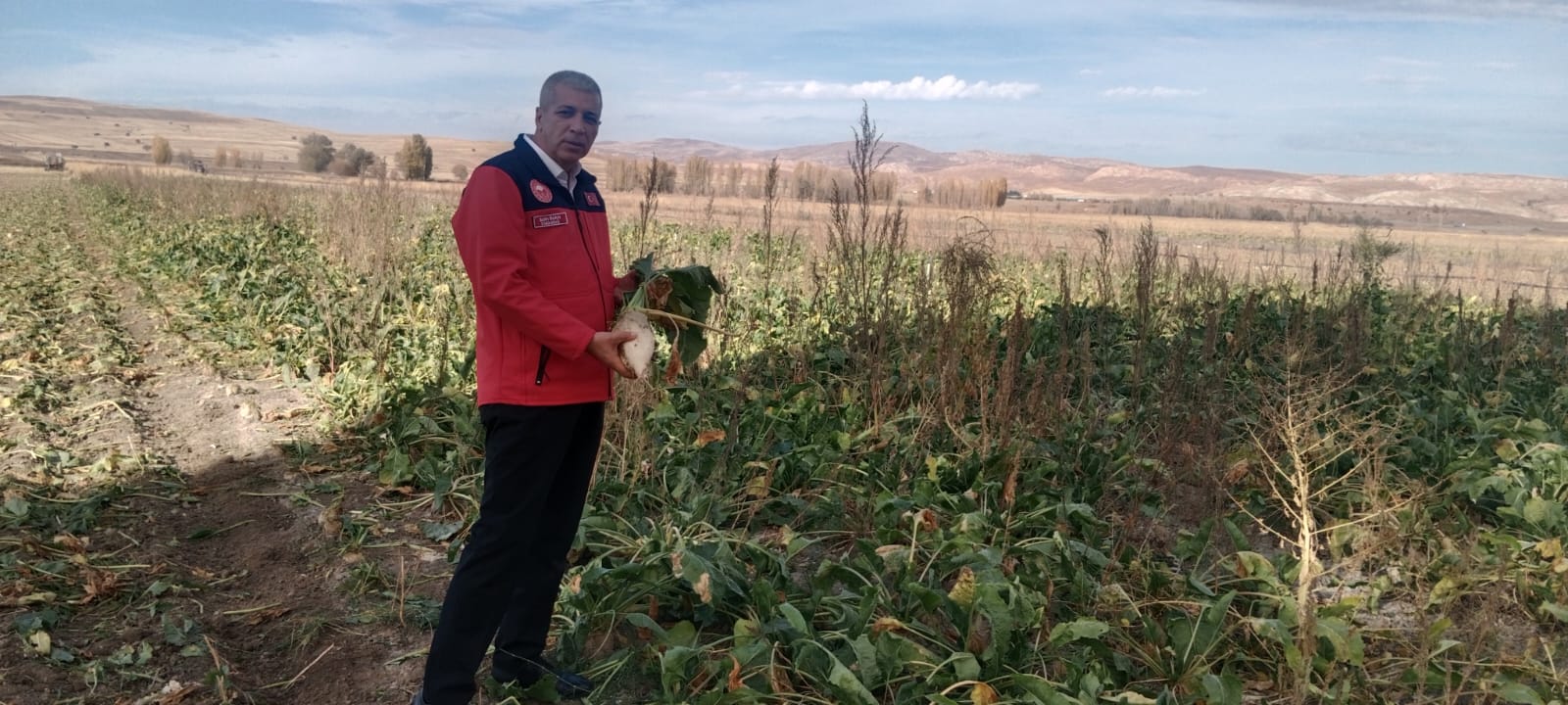 Sivas’ta Şeker Pancarı Hasadı Bereketli Geçiyor