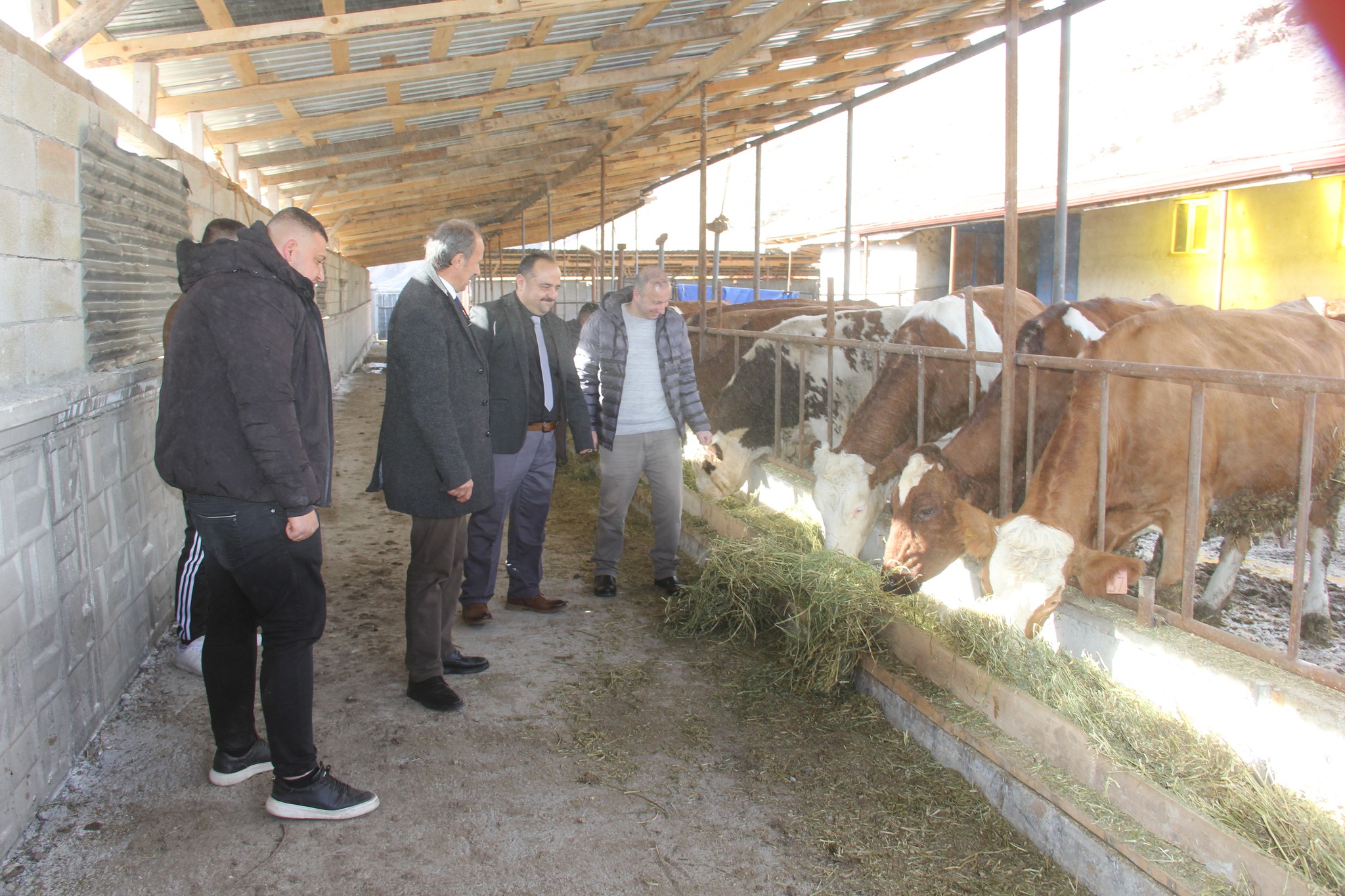 Sivas’ta şap hastalığı endişesi: “Erken önlem şart”